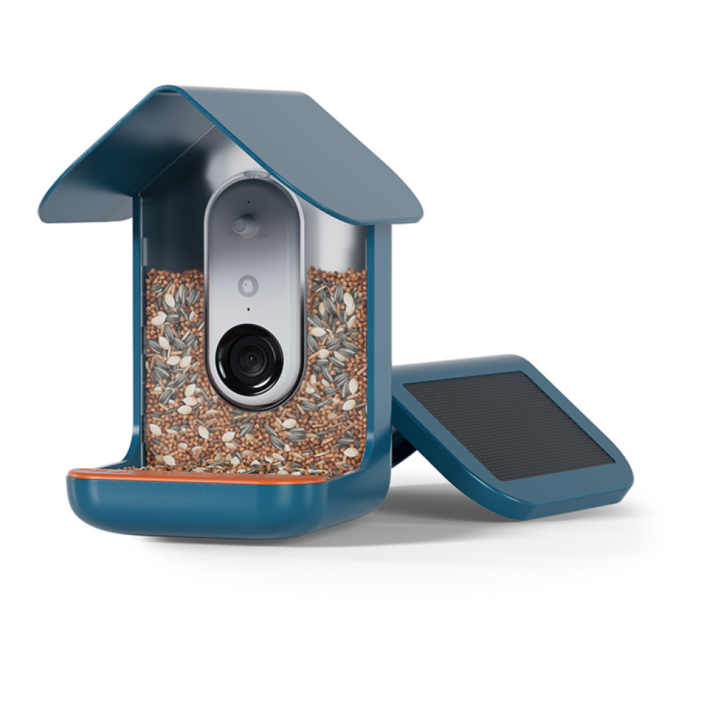 Bird feeder with camera, Birdbuddy in the group House & Home / Garden / Nests and hotels at SmartaSaker.se (14643)