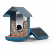Bird feeder with camera, Birdbuddy