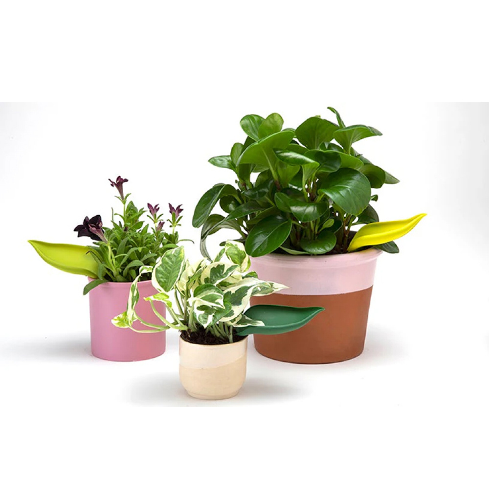 Watering funnel for pot, 3-pack in the group House & Home / Garden / Irrigation at SmartaSaker.se (14677)