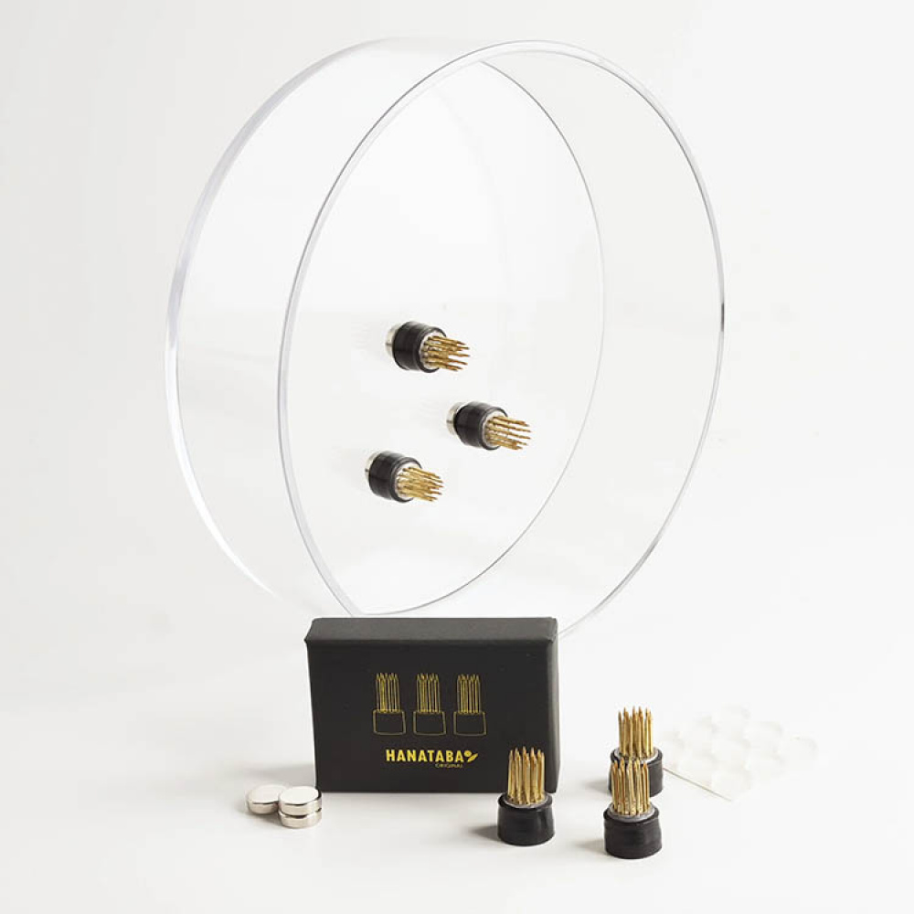 Magnetic mini flower frogs, pack of 3 in the group House & Home / Interior at SmartaSaker.se (14698)