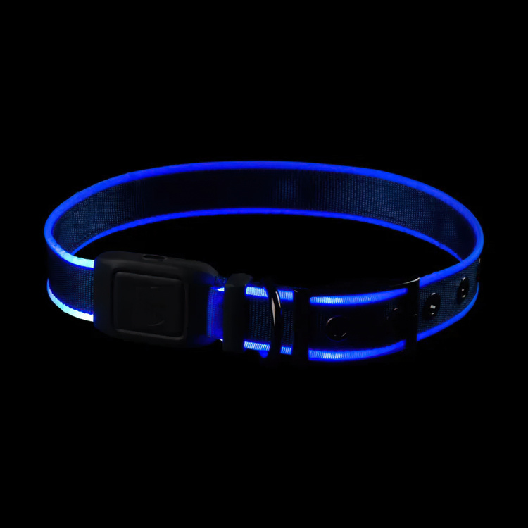Light-up dog collar in the group Leisure / Pets / Dog stuff at SmartaSaker.se (14714)