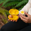 Egg holder