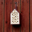 Bee hotel, Bibo