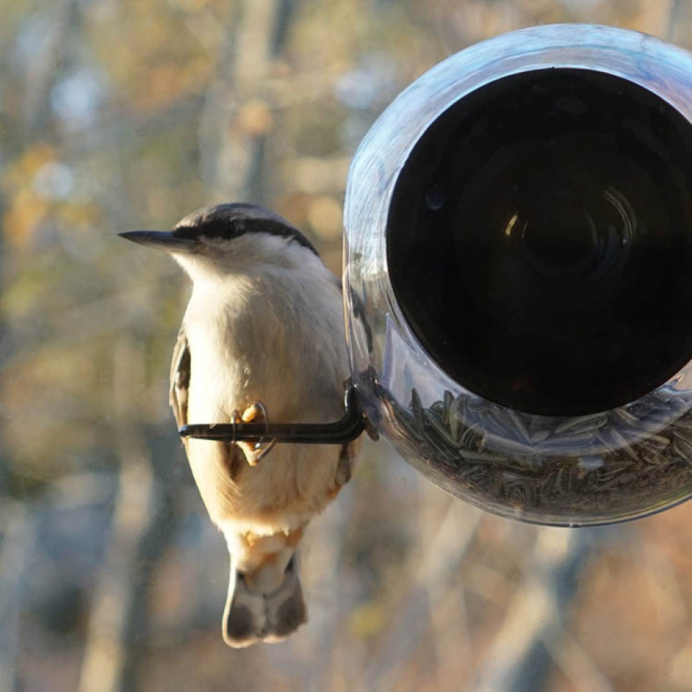 Round window bird feeder in the group Garden / Nests and hotels at SmartaSaker.se (14757)