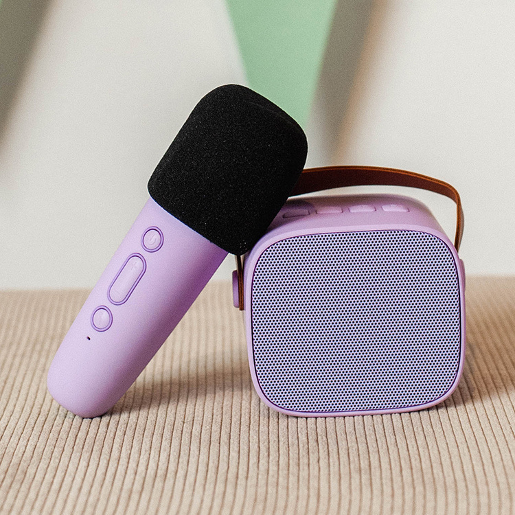 Portable karaoke set in the group House & Home / Electronics / Speakers and ear phones at SmartaSaker.se (14771)