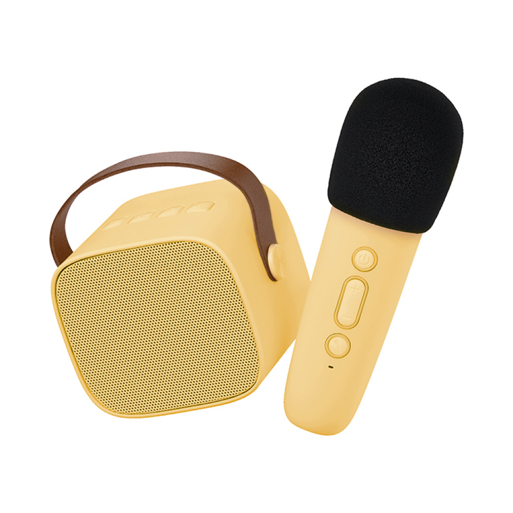 Portable karaoke set in the group House & Home / Electronics / Speakers and ear phones at SmartaSaker.se (14771)