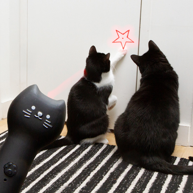 Laser pointer for cat in the group Leisure / Pets / Cat stuff at SmartaSaker.se (14789)