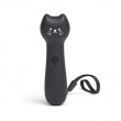 Laser pointer for cat