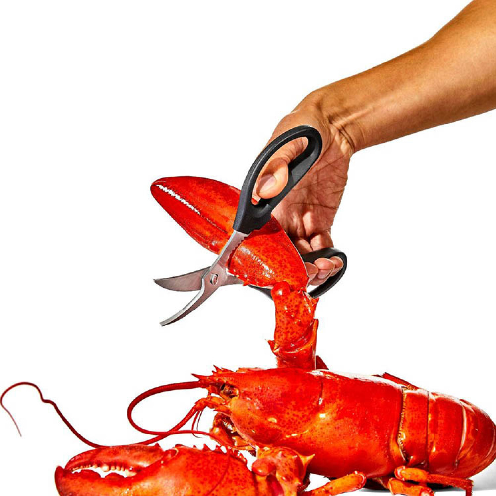 Seafood scissors, OXO in the group House & Home / Kitchen at SmartaSaker.se (14793)