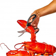 Seafood scissors, OXO