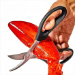 Seafood scissors, OXO