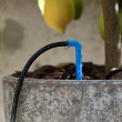 Solar-powered drip irrigation system