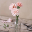 Craft flowers made of crepe paper