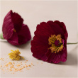 Craft flowers made of crepe paper