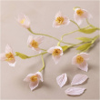 Craft flowers made of crepe paper