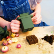 Soil cubes for cultivation