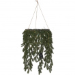 Battery-operated hanging wreath