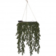 Battery-operated hanging wreath