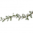 Battery-operated mistletoe string lights