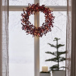 Rowan berry wreath with lights