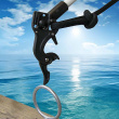 Mooring Hook Handydock
