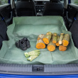 Car Boot Protector