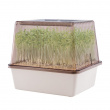 Mini greenhouse