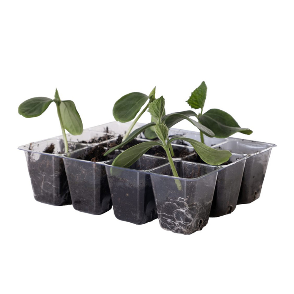 Mini greenhouse in the group Garden / Cultivation at SmartaSaker.se (14921)