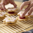 Foldable Cooling Rack