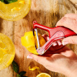 Self-sharpening vegetable peeler