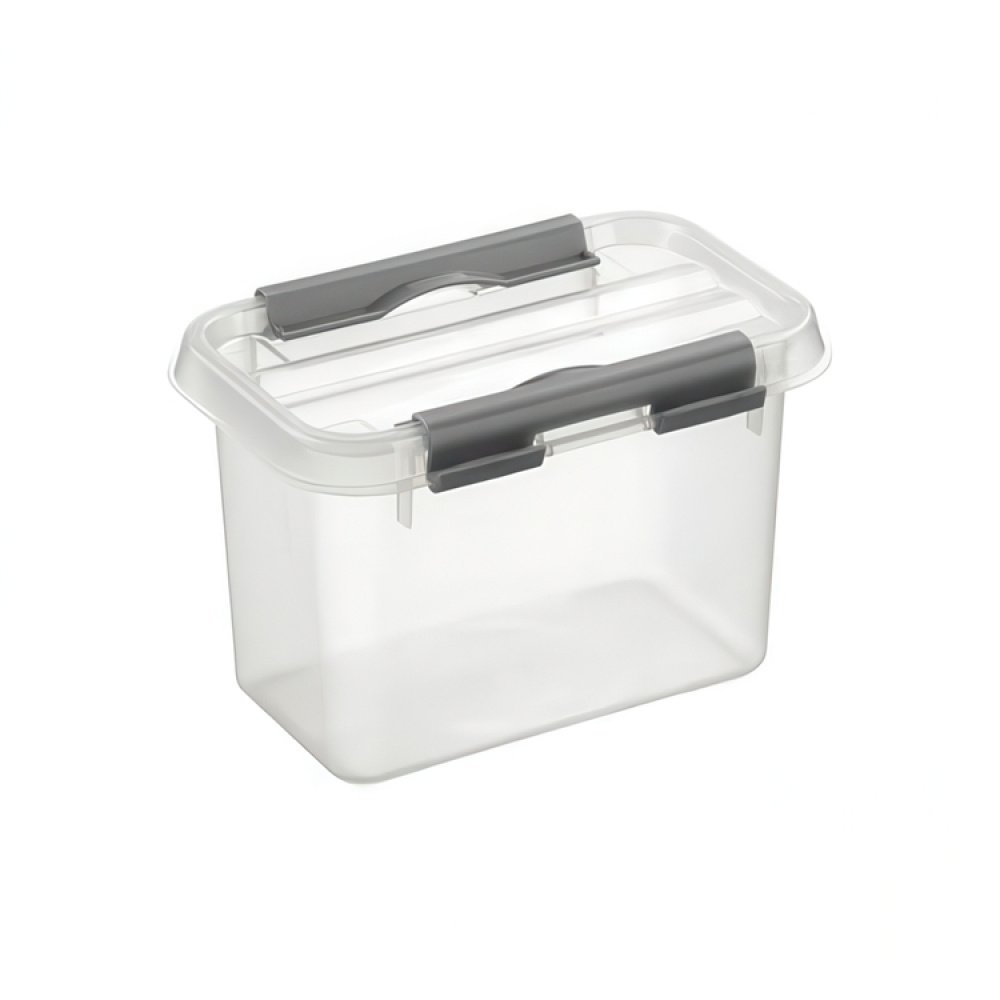 Box, 0,8L, Q-LINE SMALL BOX, 15 x 10 x H 10,8 cm, Clear / Silver Grey in the group Storage / Storage boxes / Mini organizers at SmartaSaker.se (40041)