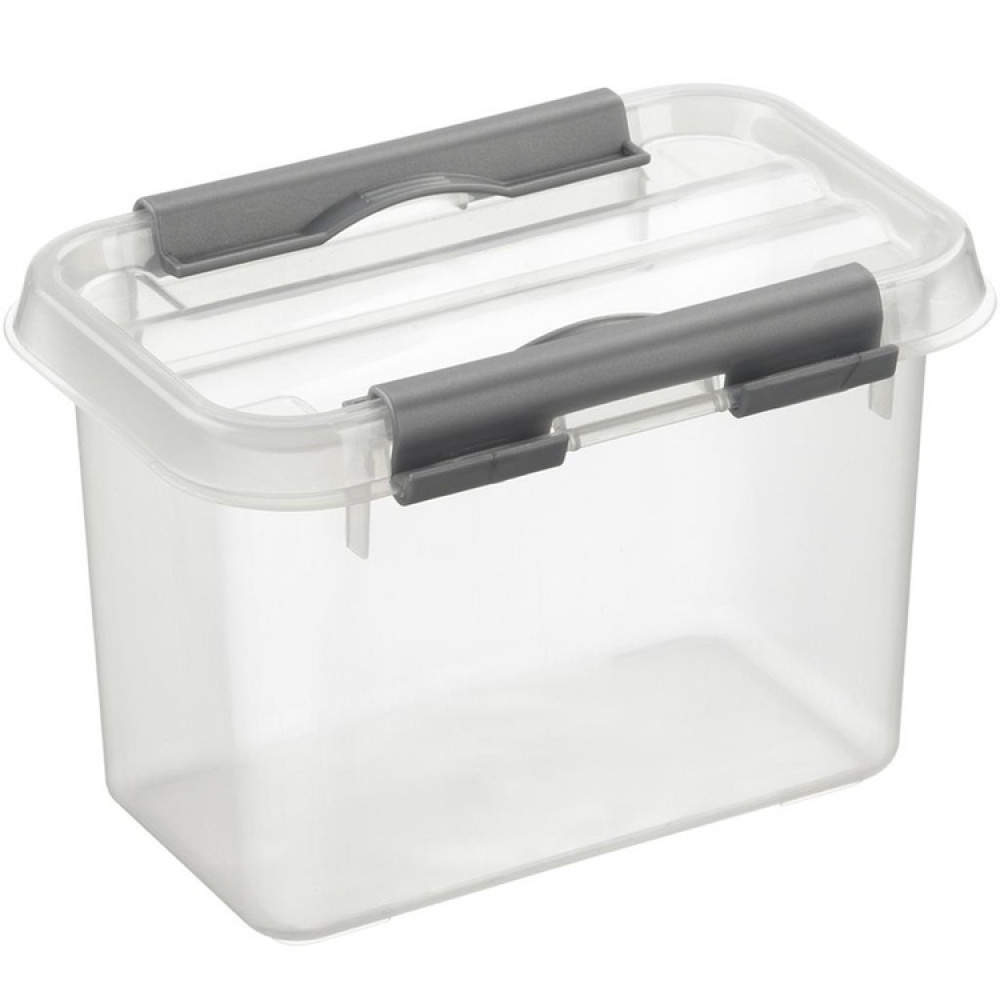 Box, 0,8L, Q-LINE SMALL BOX, 15 x 10 x H 10,8 cm, Clear / Silver Grey in the group Storage / Storage boxes / Mini organizers at SmartaSaker.se (40041)