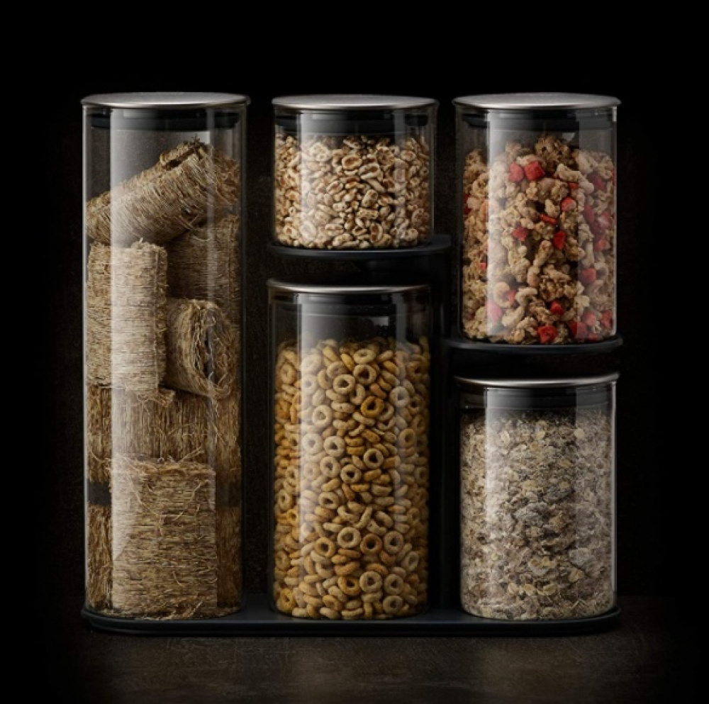 Glass Container Set in stand, 5-piece, PODIUM EASY-ACCESS, Joseph Joseph, Clear / Silver in the group Storage / Kitchen storage / Storage bins and jars at SmartaSaker.se (40341)