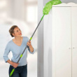 Micro-fiber duster, Extra Long, TELESCOPIC DUSTER, 116 ~ 181 cm, Green / Silver Micro-fiber duster, Extra Long, TELESCOPIC DUSTER, 116 ~ 181 cm, Green / Silver