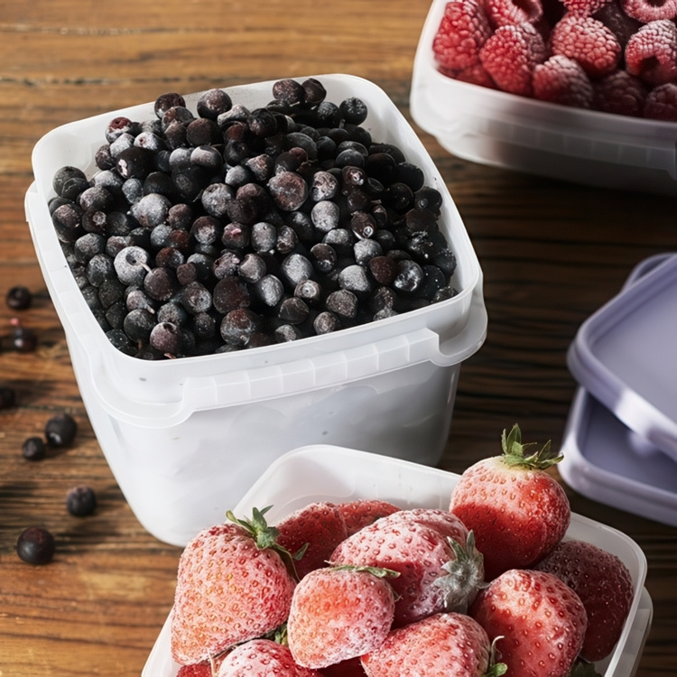 Freezer Boxes 0,5L, Stackable, Set of 5, SMARTSTORE FROST in the group Storage / Storage boxes / SmartStore storage boxes at SmartaSaker.se (40628)