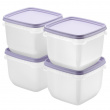Freezer Boxes 0,75L, Stackable, Set of 4, SMARTSTORE FROST