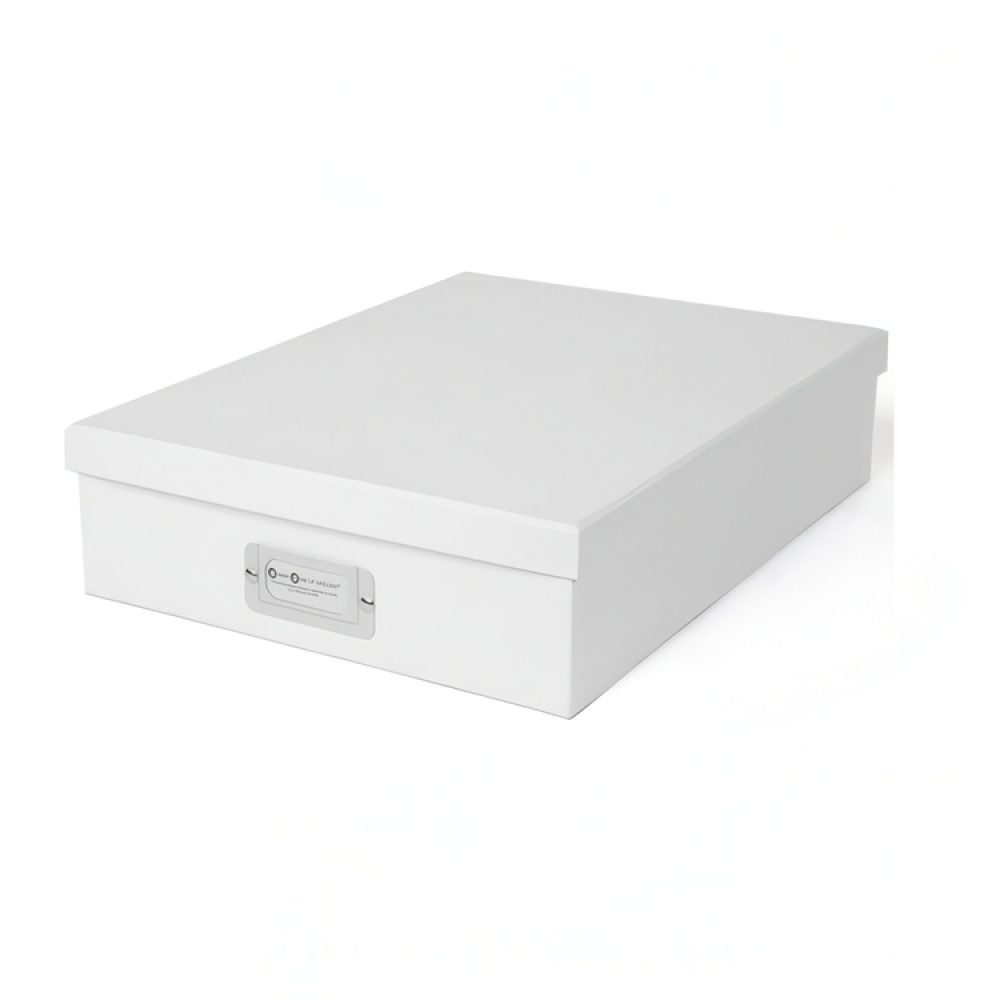 Storage box A4 +, BIGSO OSKAR, 35 x 26 x H 8,5 cm in the group Storage / Storage boxes at SmartaSaker.se (40787)