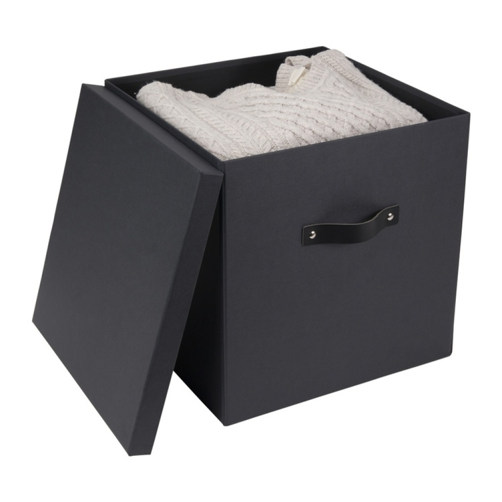 Storage box with handle, BIGSO LOGAN, 31,5 x 31,5 cm in the group Storage / Storage boxes / BigSo storage boxes at SmartaSaker.se (40838)