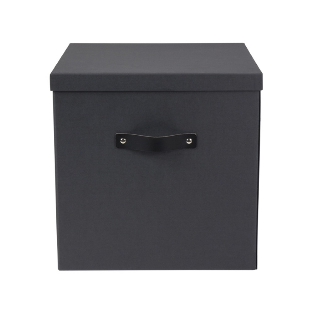Storage box with handle, BIGSO LOGAN, 31,5 x 31,5 cm in the group Storage / Storage boxes / BigSo storage boxes at SmartaSaker.se (40838)