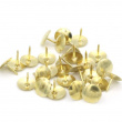 Thumbtacks, 100 pcs, HÄFTSTIFT, Ø 9,5 mm, Gold Thumbtacks, 100 pcs, HÄFTSTIFT, Ø 9,5 mm, Gold