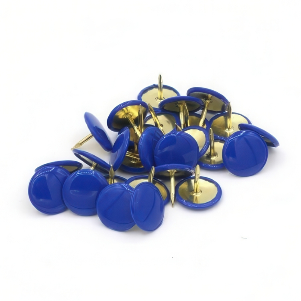 Thumbtacks, 100 pcs in the group Storage / Office supplies at SmartaSaker.se (41246)