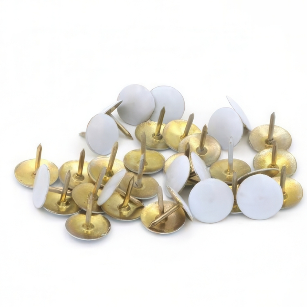 Thumbtacks, 100 pcs in the group Storage / Office supplies at SmartaSaker.se (41246)