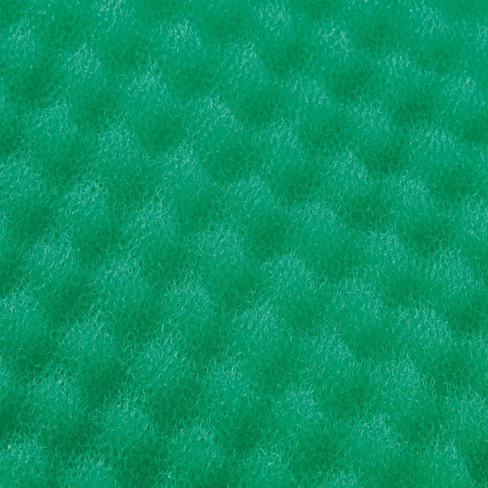 Preserver base for fruit and vegetables, BASE CONSERVANTE, 47 x 30 cm, Green in the group Storage / Kitchen storage / Fridge storage at SmartaSaker.se (41629)