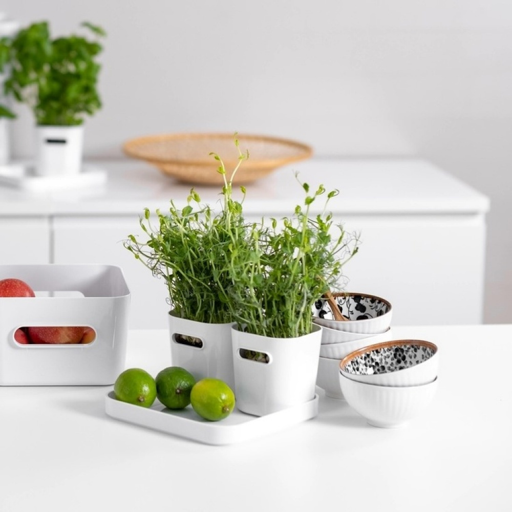 Lid / Tray, SMARTSTORE COMPACT SQUARE, 20 x 20 x 2,5 cm in the group Storage / Storage boxes / SmartStore storage boxes at SmartaSaker.se (41661)