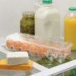 Fridge storage with lid, slim, for 14 Eggs, FRIDGE BINZ, 36 x 11 x H 7,6 cm, Transparent Fridge storage with lid, slim, for 14 Eggs, FRIDGE BINZ, 36 x 11 x H 7,6 cm, Transparent