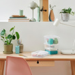 Box, Small, SMARTSTORE 2L HOME, 21 x 17 x H11 cm, Clear / White Box, Small, SMARTSTORE 2L HOME, 21 x 17 x H11 cm, Clear / White