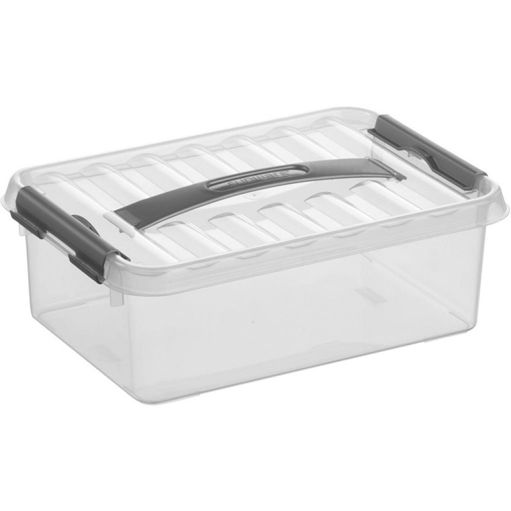 Box with handle, Small, 4 L, Q-LINE BOX, 30 x 20 x H10,4 cm, Clear / Silver Grey in the group Storage / Storage boxes at SmartaSaker.se (41779)