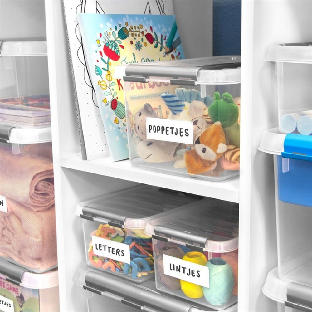 Box with handle, Small, 4 L, Q-LINE BOX, 30 x 20 x H10,4 cm, Clear / Silver Grey in the group Storage / Storage boxes at SmartaSaker.se (41779)