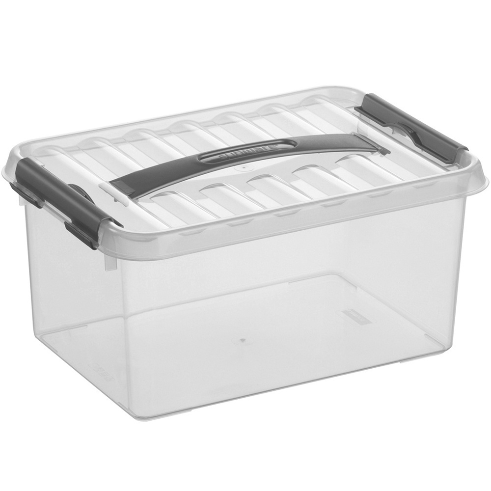 Box with handle, 6L, Q-LINE BOX, 30,7 x 20 x H 14,3 cm, Clear / Silver Grey in the group Storage / Storage boxes at SmartaSaker.se (41780)