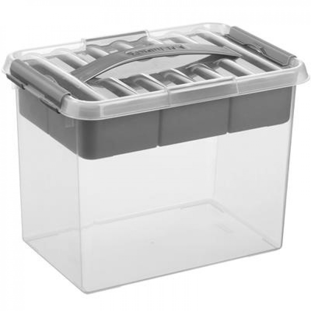 Box with insert and handle, 9L, Q-LINE MULTIBOX, 30,7 x 20 x H 22,3 cm, Clear / Silver Grey in the group Storage / Storage boxes / Mini organizers at SmartaSaker.se (41806)